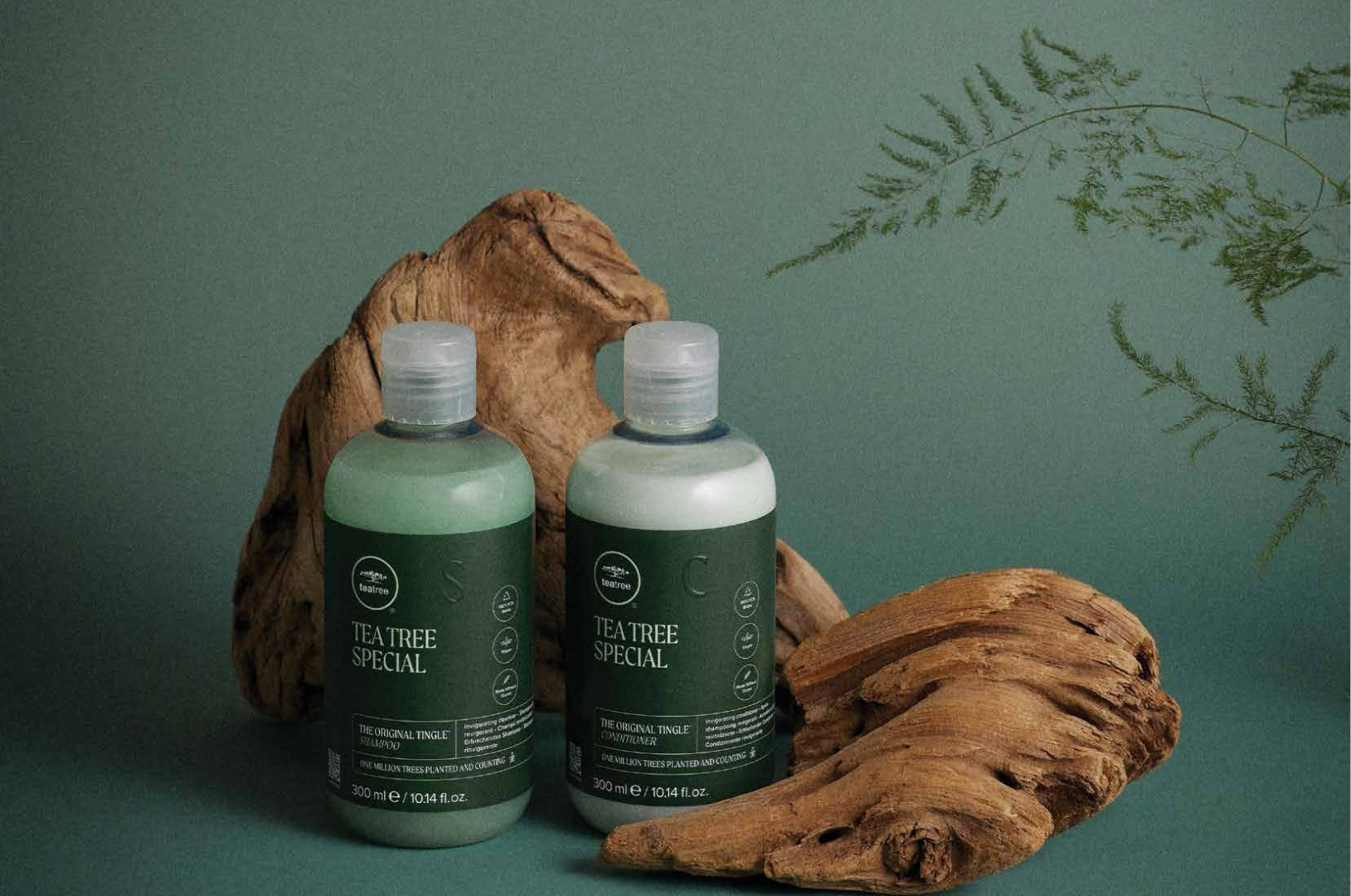 TEA TREE SPECIAL – Coiffinea